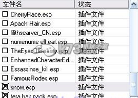 上古卷轴5天际NPC文件的使用方法