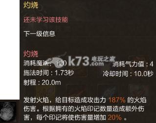 灵魂回响魔法师攻略