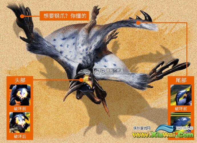 怪物猎人4G白猿狐解析