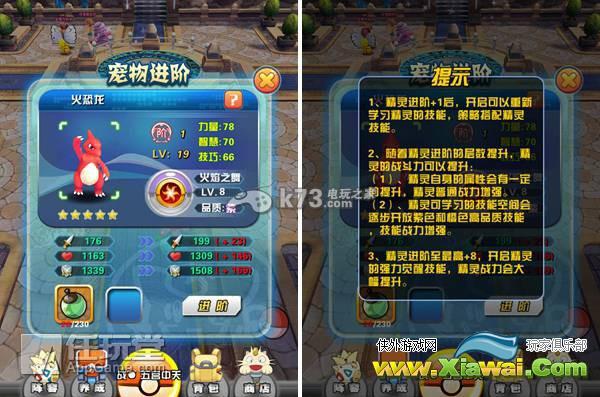口袋妖怪3D宠物养成攻略