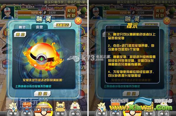 口袋妖怪3D宠物养成攻略