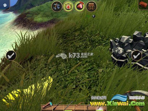 辐射岛常见矿石位置一览