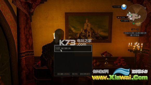 巫师3血与酒庄园挂画代码分享