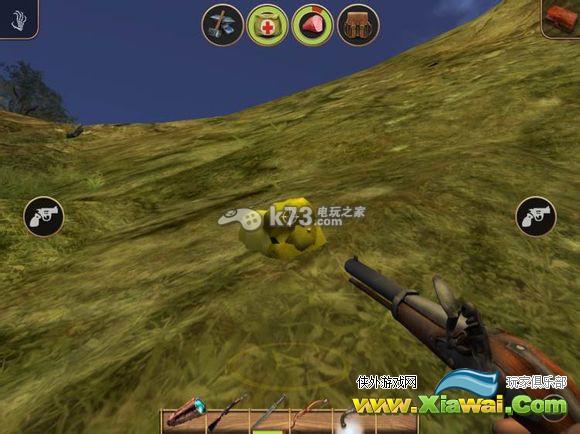 辐射岛常见矿石位置一览