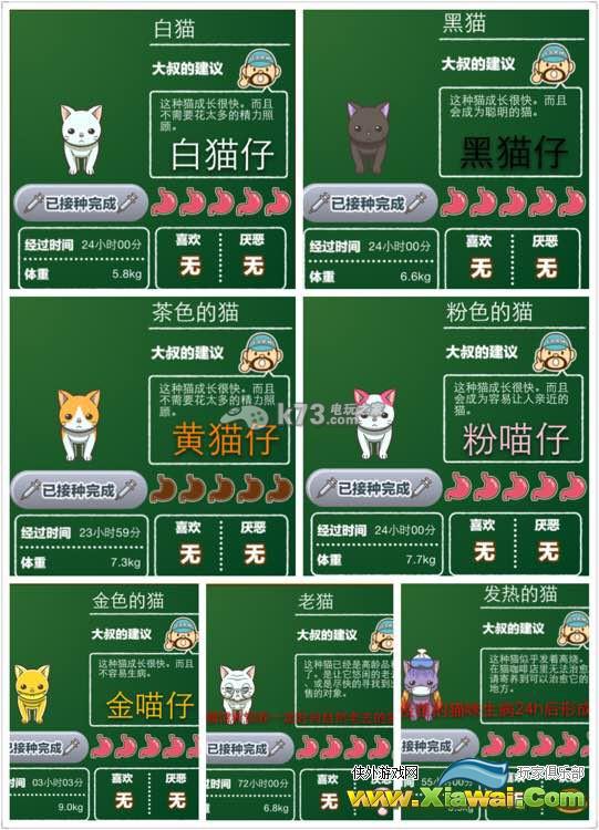 猫咖啡店猫咪图鉴汇总介绍