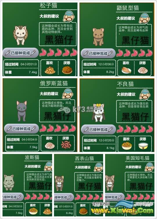 猫咖啡店猫咪图鉴汇总介绍