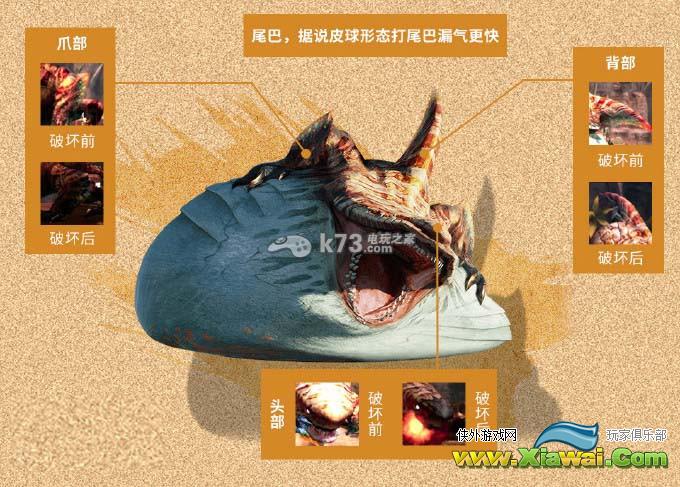 怪物猎人4G虎鲛详细解析