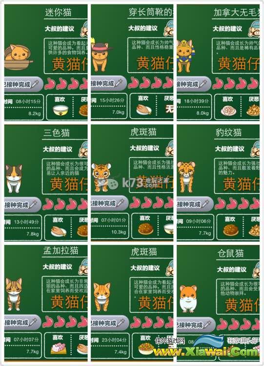 猫咖啡店猫咪图鉴汇总介绍