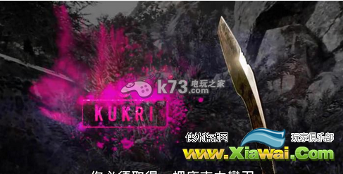 孤岛惊魂4武器介绍