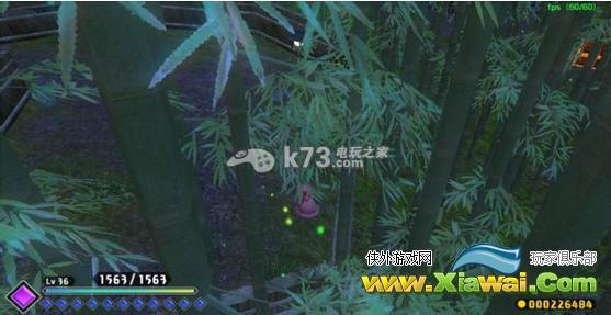 东方红辉心竹林金宝箱攻略