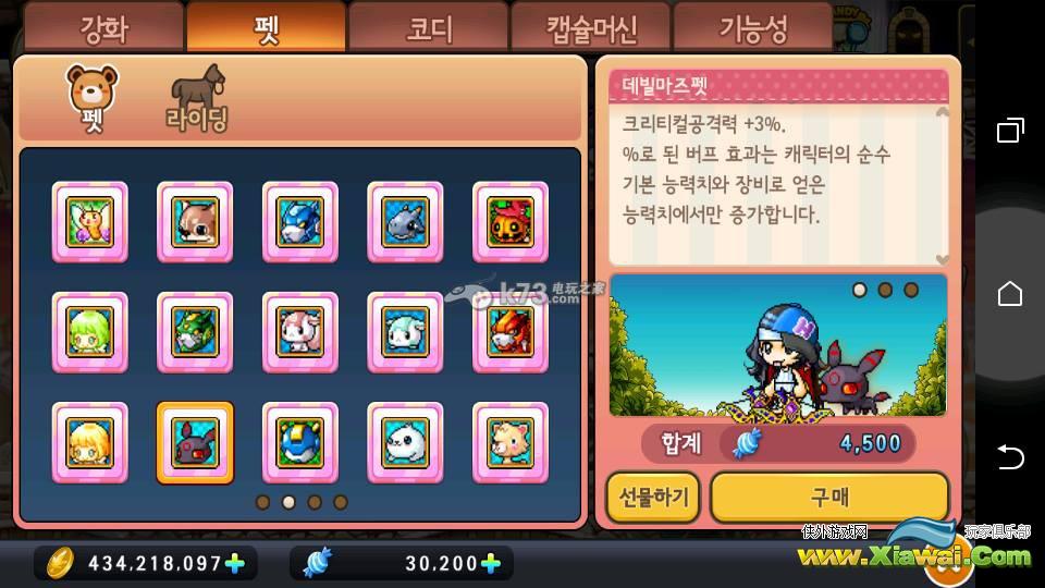 冒险岛手游双驽精灵满级攻略 装备宠物选择