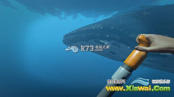 深海搁浅0.01H1更新新增生物介绍