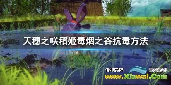 《天穗之咲稻姬》怎么抗毒 毒烟之谷抗毒方法