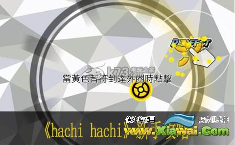 hachi hachi新手攻略