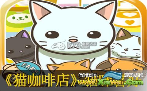 猫咖啡店全猫咪喜好介绍