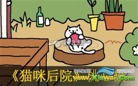 猫咪后院桃心猫出现方法