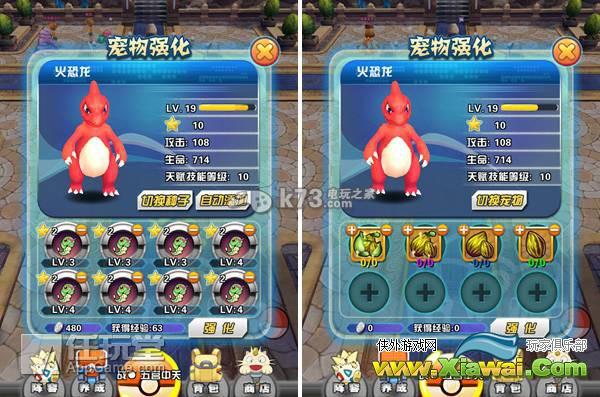 口袋妖怪3D宠物养成攻略