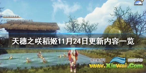 《天穗之咲稻姬》11月24日更新内容一览 11月24日更新了什么内容？