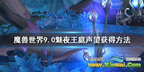 《魔兽世界》9.0魅夜王庭声望怎么获得？9.0魅夜王庭声望获得方法