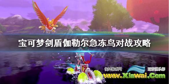 《宝可梦剑盾》急冻鸟伽勒尔对战怎么样？伽勒尔急冻鸟对战攻略