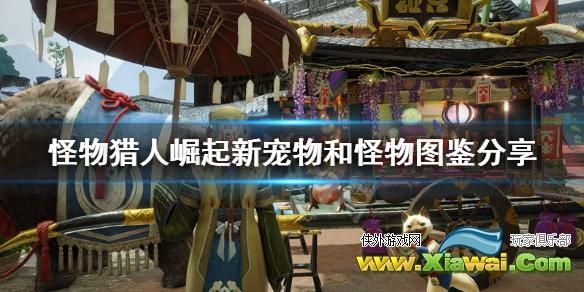 《怪物猎人崛起》宠物福木兔怎么样？新宠物和怪物图鉴分享