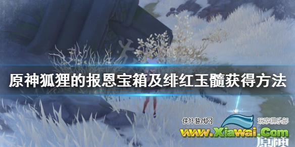 《原神》狐狸食盆在哪？狐狸的报恩宝箱及绯红玉髓获得方法