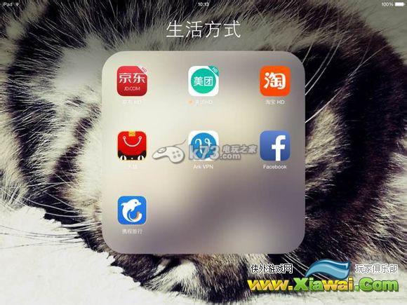 龙之狂热传奇新手向游戏心得分享
