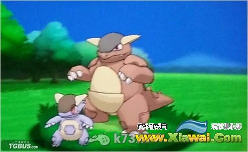 口袋妖怪xy百万进化袋宠心得