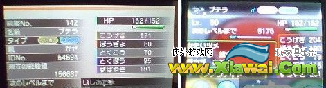 口袋妖怪XY化石飞龙研究