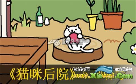 猫咪后院5月2号暗号介绍