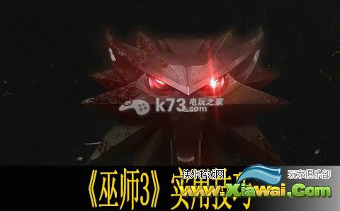 巫师3实用小技巧整理