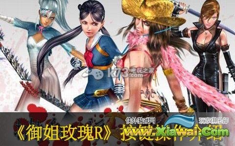 御姐玫瑰R按键操作介绍