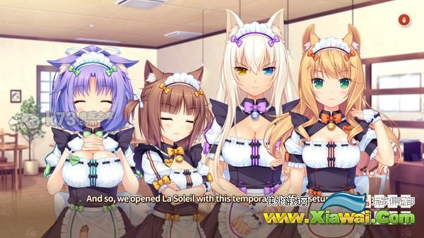 nekopara vol2角色心得