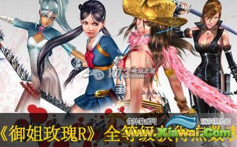御姐玫瑰R全等级获得点数表