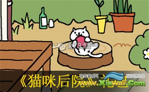 猫咪后院4月12礼包领取方法