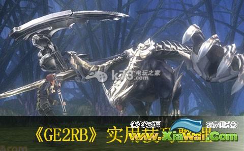 噬神者2愤怒爆裂实用小技巧分享