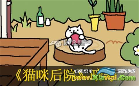 猫咪后院4月23日暗号介绍