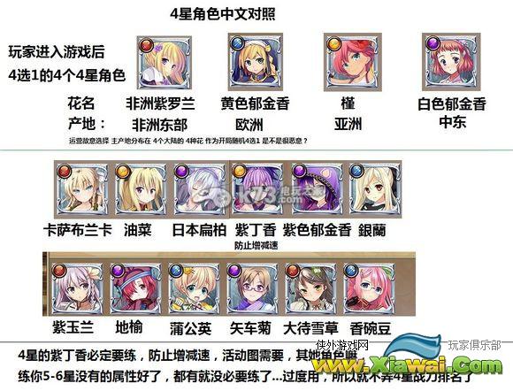 美少女花骑士进阶攻略