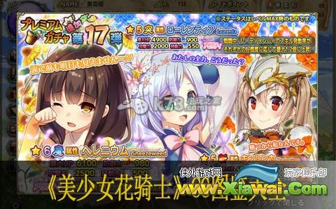 美少女花骑士CG图鉴大全