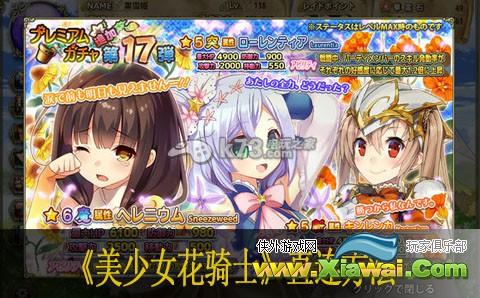 美少女花骑士直连方法