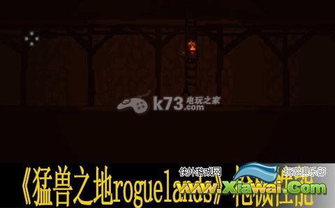 猛兽之地roguelands枪械性能点评