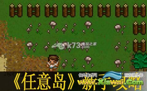 任意岛新手攻略