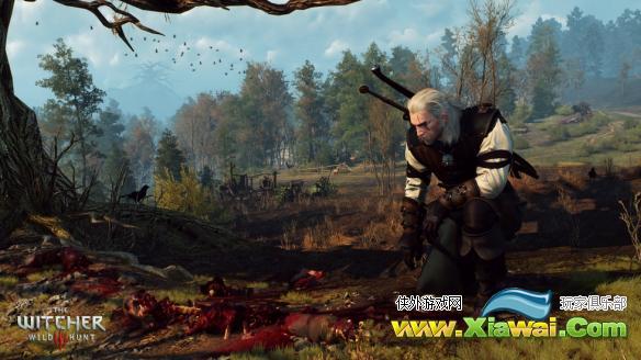 《巫师3：狂猎》关于猎魔人设定 猎魔人为何背两把剑