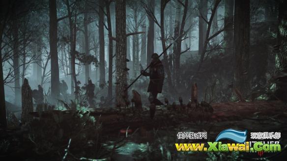 《巫师3：狂猎》低配优化心得 巫师3低配设置选项推荐