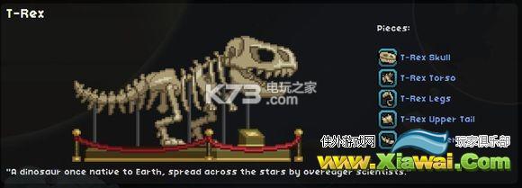 星界边境全化石一览