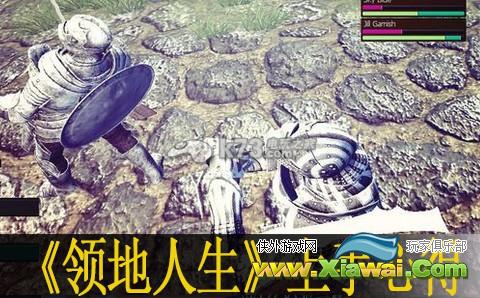 领地人生上手心得