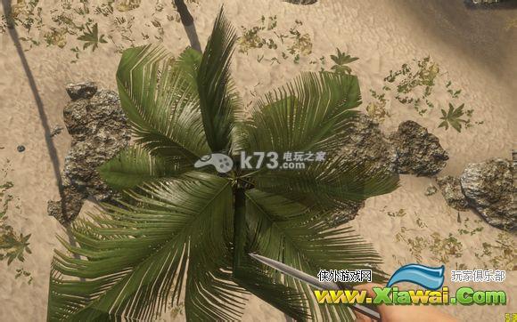 深海搁浅新大陆分享