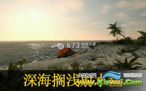 深海搁浅射水鱼解析