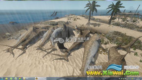 深海搁浅射水鱼解析