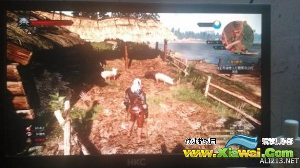 《巫师3：狂猎》前期无限取得猪皮和生肉方法攻略
